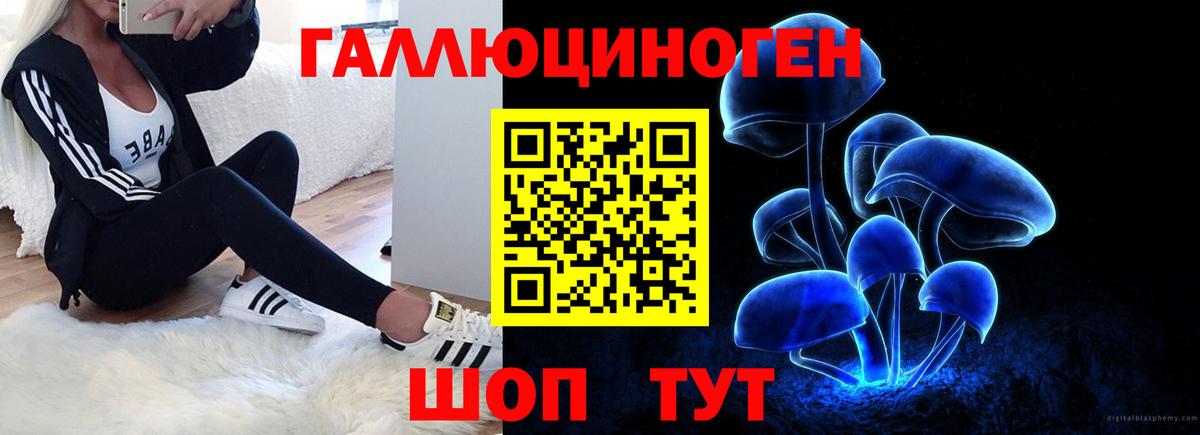 Галлюциногенные грибы MAGIC MUSHROOMS  Вход с VPN  Вольск  Галлюциногенные грибы мухоморы 